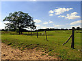 SU4871 : Farmland near Curridge by Pam Brophy