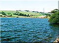 Rishton reservoir from Cutwood Park