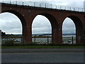 Montrose Basin