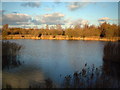 Kennington Park Lake