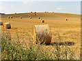 SU4870 : Harvested Land on Grange Farm: Newbury by Pam Brophy