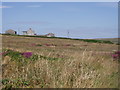 Dakota Farm on Bosullow common