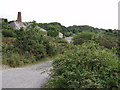 Old mine buildings at Wheal Busy