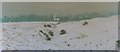 SE1046 : Ilkley Moor in the snow. by Pete Chapman