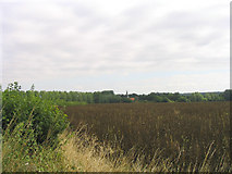 TL5901 : Copyhold Farm, Blackmore, Essex by John Winfield