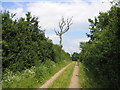 SP4970 : Green Lane near Dunchurch by David Stowell