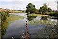 Mill Pond, Cotton Stones