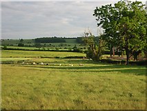 SE4815 : Old Thorpe Audlin looking toward Upton Beacon and water tower by Simon Johnston