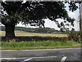 View over Epperstone Park