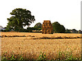SU4475 : Farmland near Leckhampstead by Pam Brophy
