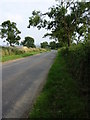 Country road near Ragdale