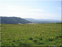 TQ2813 : View to the west from Wolstonbury Hill by Ian Cunliffe