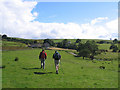 Beatrix Farm Bowland