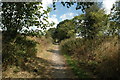 Footpath to Sankey Valley Park