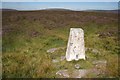 SD9530 : Trig point, Standing Stone Hill by Mark Anderson