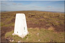 SD9129 : Trig point, Hoof Stones Height by Mark Anderson
