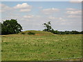 Motte and Bailey, at Alstoe Farm