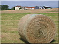 Farm near Brandesburton