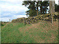 Drystone wall at Billa Barra Local Nature Reserve