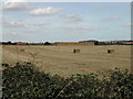 Stacking the Bales of straw