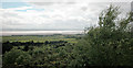 View from Thurstaston Hill