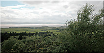 SJ2484 : View from Thurstaston Hill by Dennis Turner