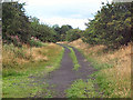 Trackbed of former Otley-Pool railway