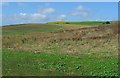 Farmland, Newbigging