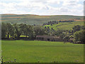 Corn Mill Farm near Hawksworth