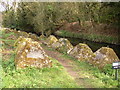 Waverley Abbey Tank Traps