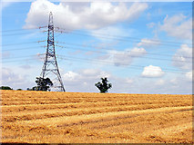 ST8478 : Farmland and Power Pylon, near Castle Combe by Pam Brophy