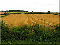 Farmland near Nettleton