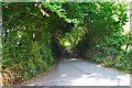 Road south of Moretonhampstead