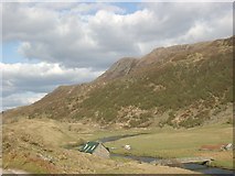 NH1320 : Athnamulloch, Glen Affric by Gordon Brown