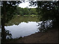 Stew Pond, Epsom Common