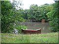 Ducks on Crawley Down Pond