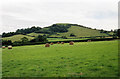 East Brent: Brent Knoll from the north