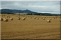 Farmland in early Autumn, Aberdeenshire