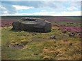 SE1346 : Cup & Ring marked rock, Ilkley Moor by David Spencer