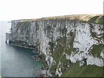 TA2073 : Bempton Cliffs by Tony Lumb