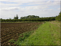 TL0196 : Hedge marking a Parish Boundary by Kokai