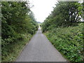 Lane to Cleeve Common