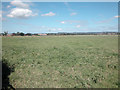 Grassland near Guilden Sutton