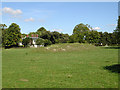 Elbrook House on the far side of a paddock.