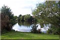 Goldsworth Park lake