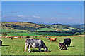 From Blackburn Old Road, Great Harwood