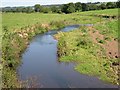 The River Otter