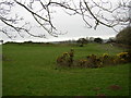 SN1416 : Iron-Age earthworks, Llanddewi Velfrey by Humphrey Bolton
