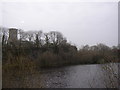 Ludchurch Lake and Church