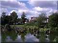 The Duck Pond - East Bierley.